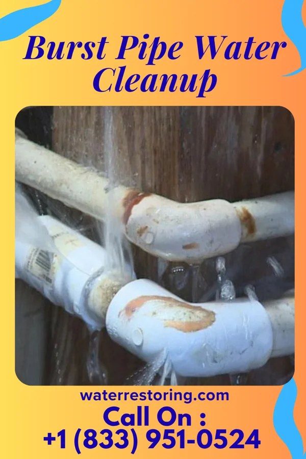 Burst Pipe Water Cleanup in Dumbarton, VA