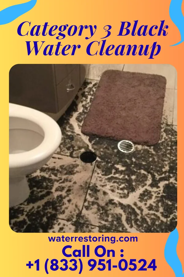 Category 3 Black Water Cleanup in Dumbarton, VA