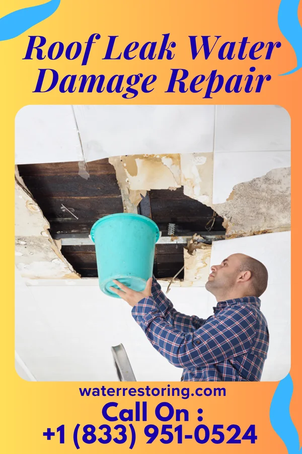 Roof Leak Water Damage Repair in Dumbarton, VA
