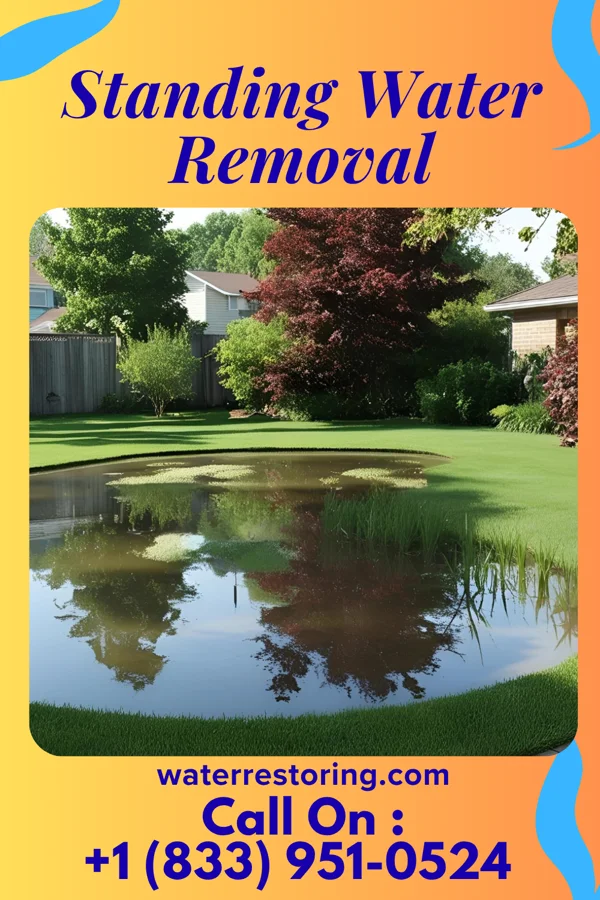 Standing Water Removal in Dumbarton, VA